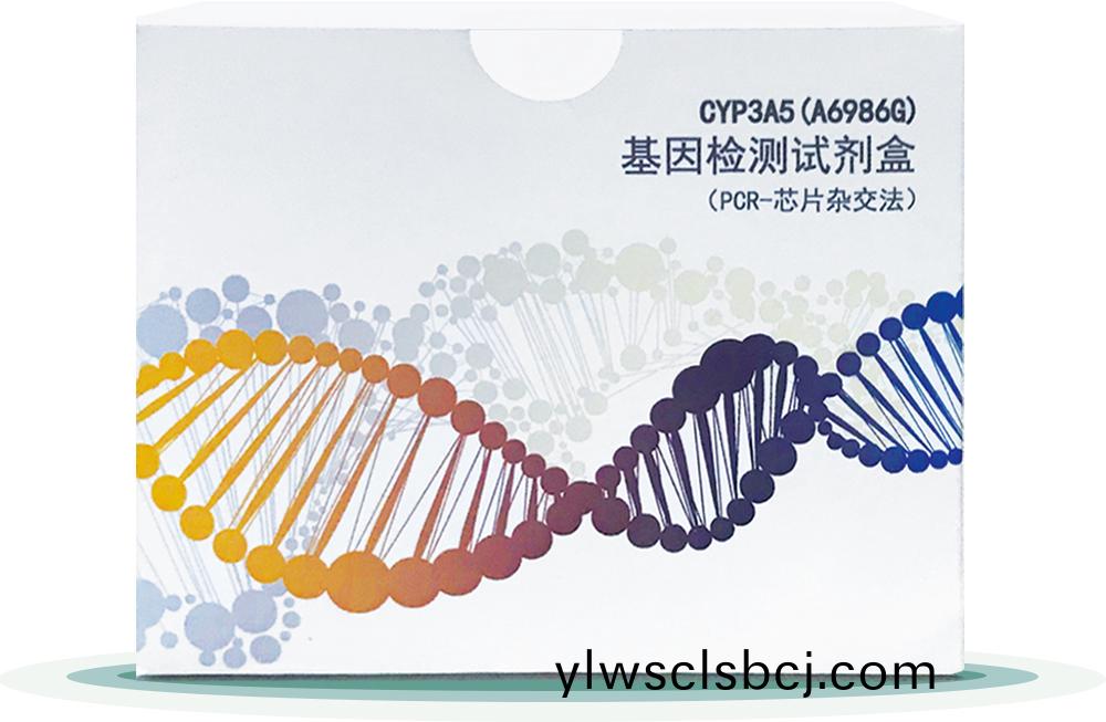 CYP3A5(A6986G) 
基囙檢測試劑盒